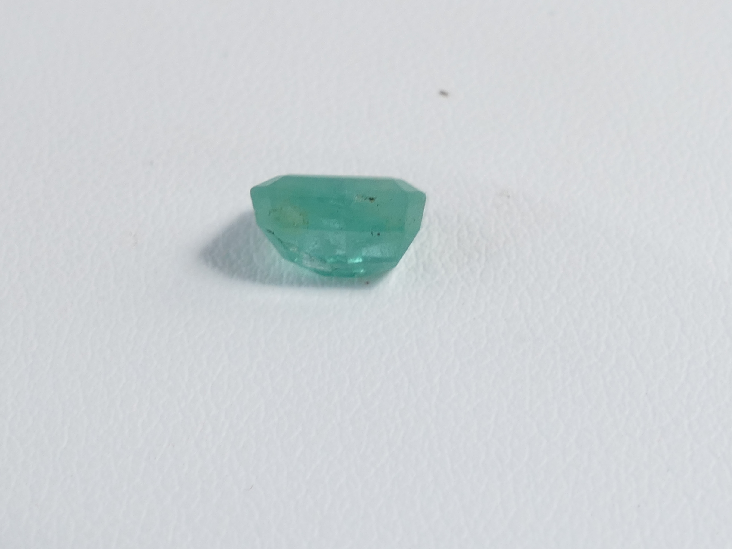 P1610569