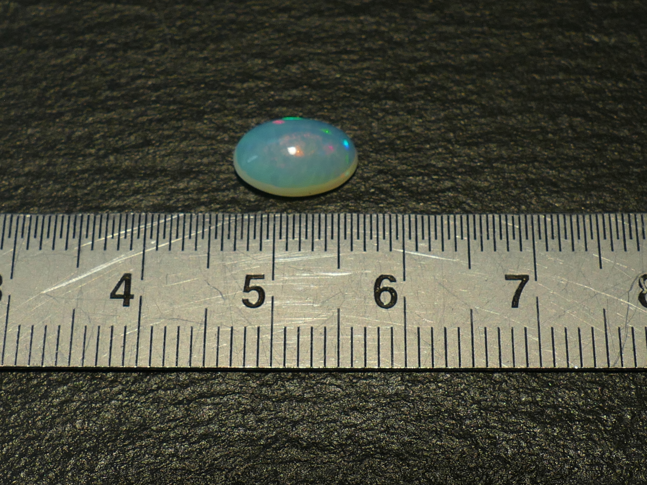 P1620319