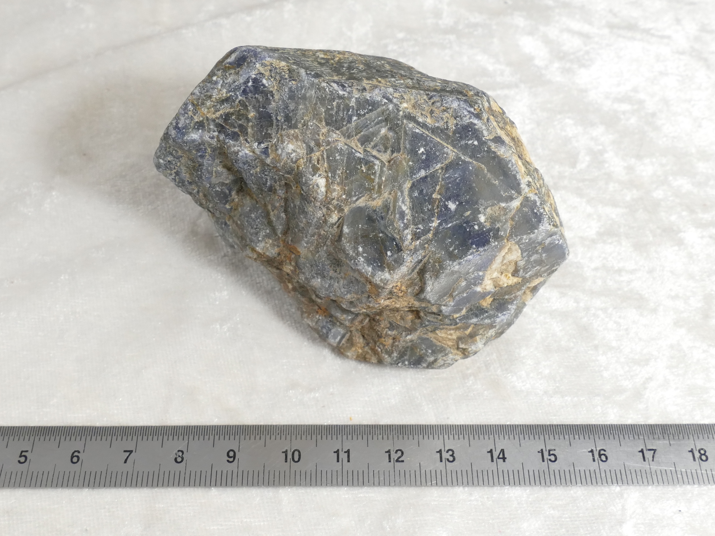 P1620835