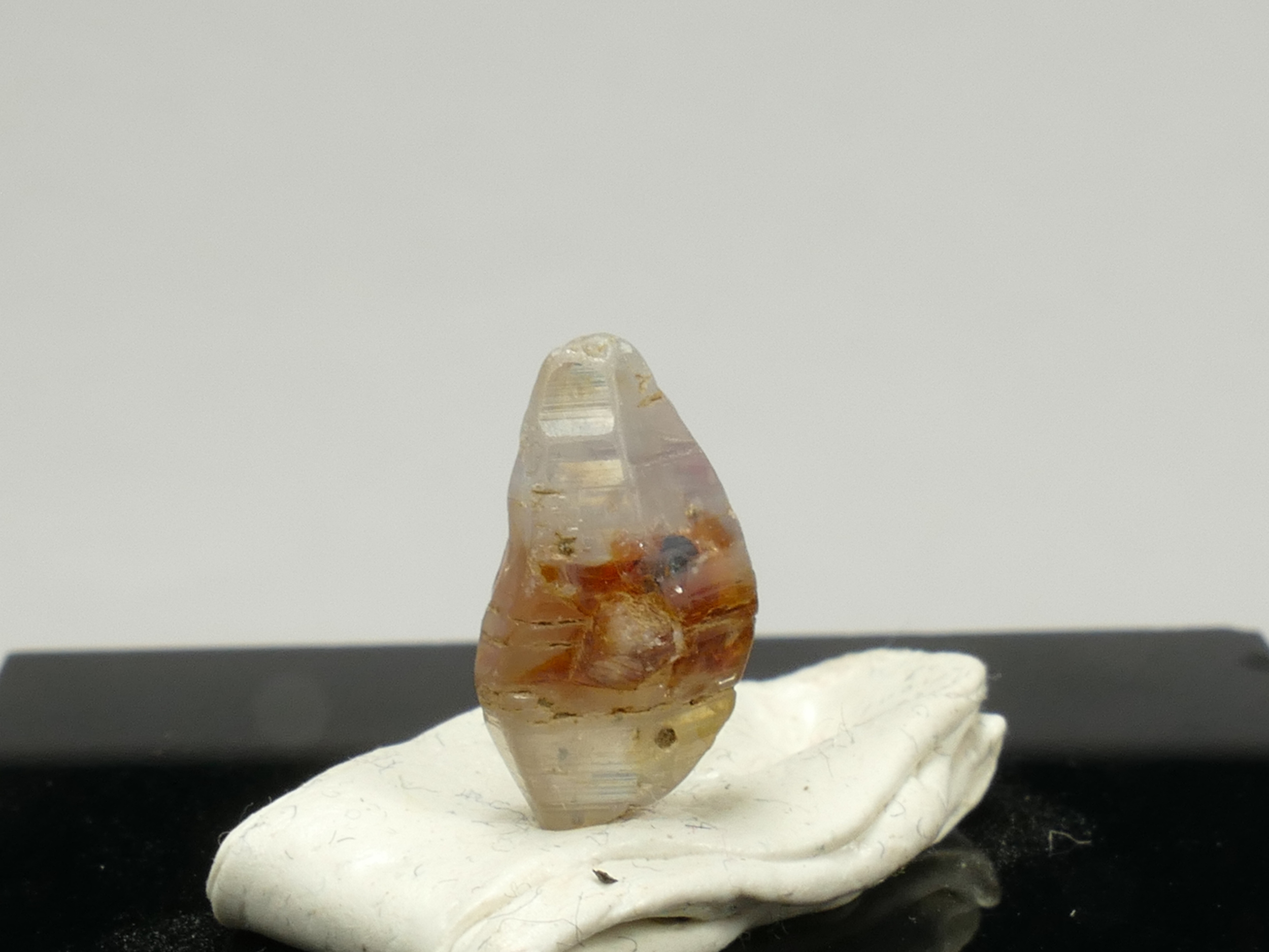 P1350291