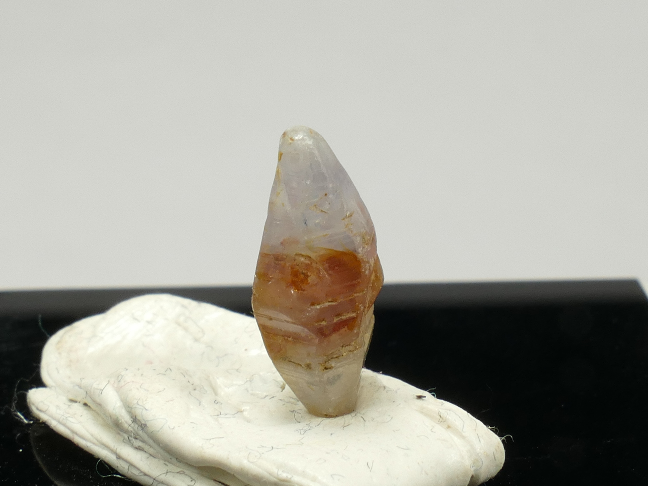 P1350294
