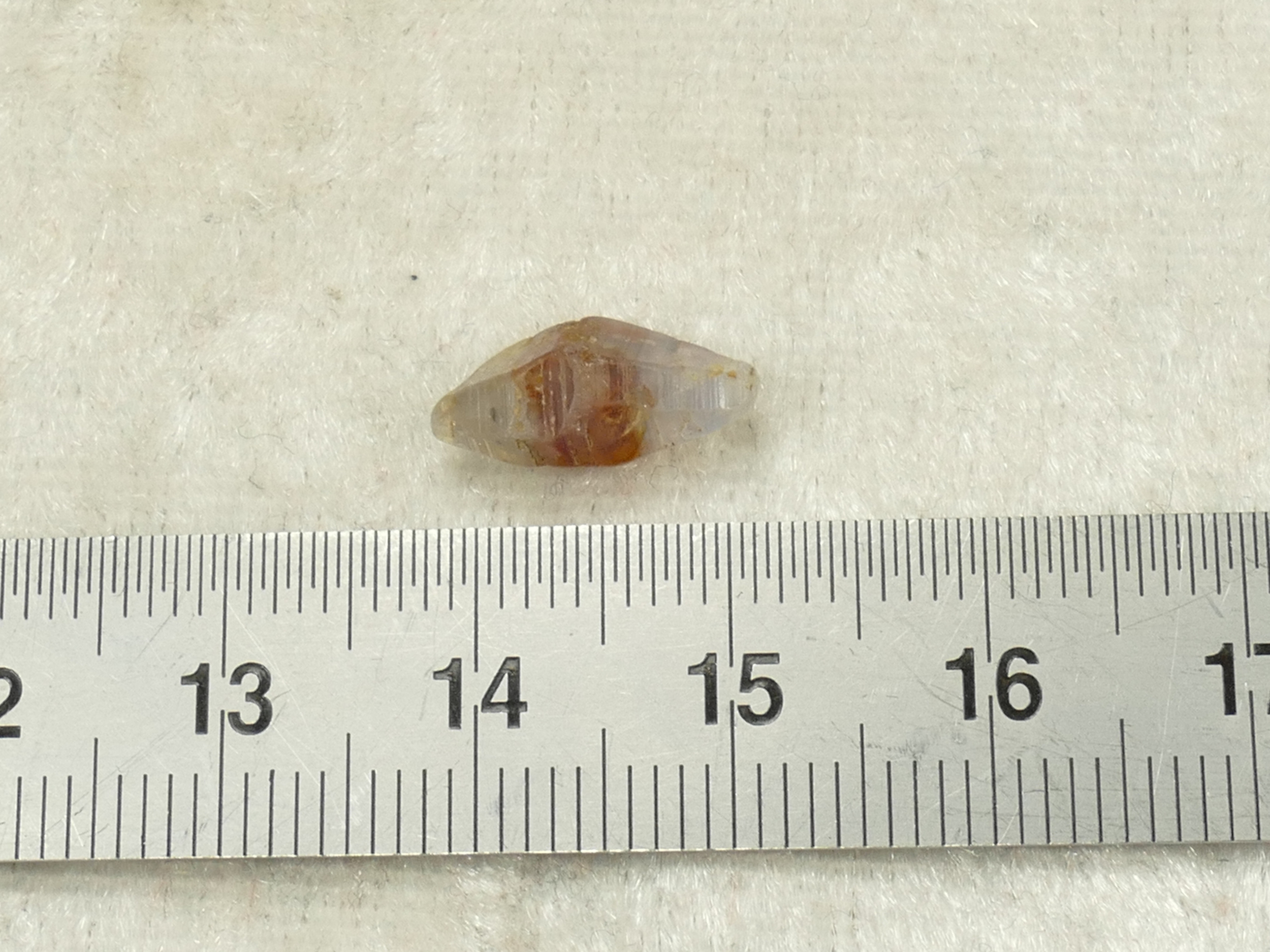 P1350295