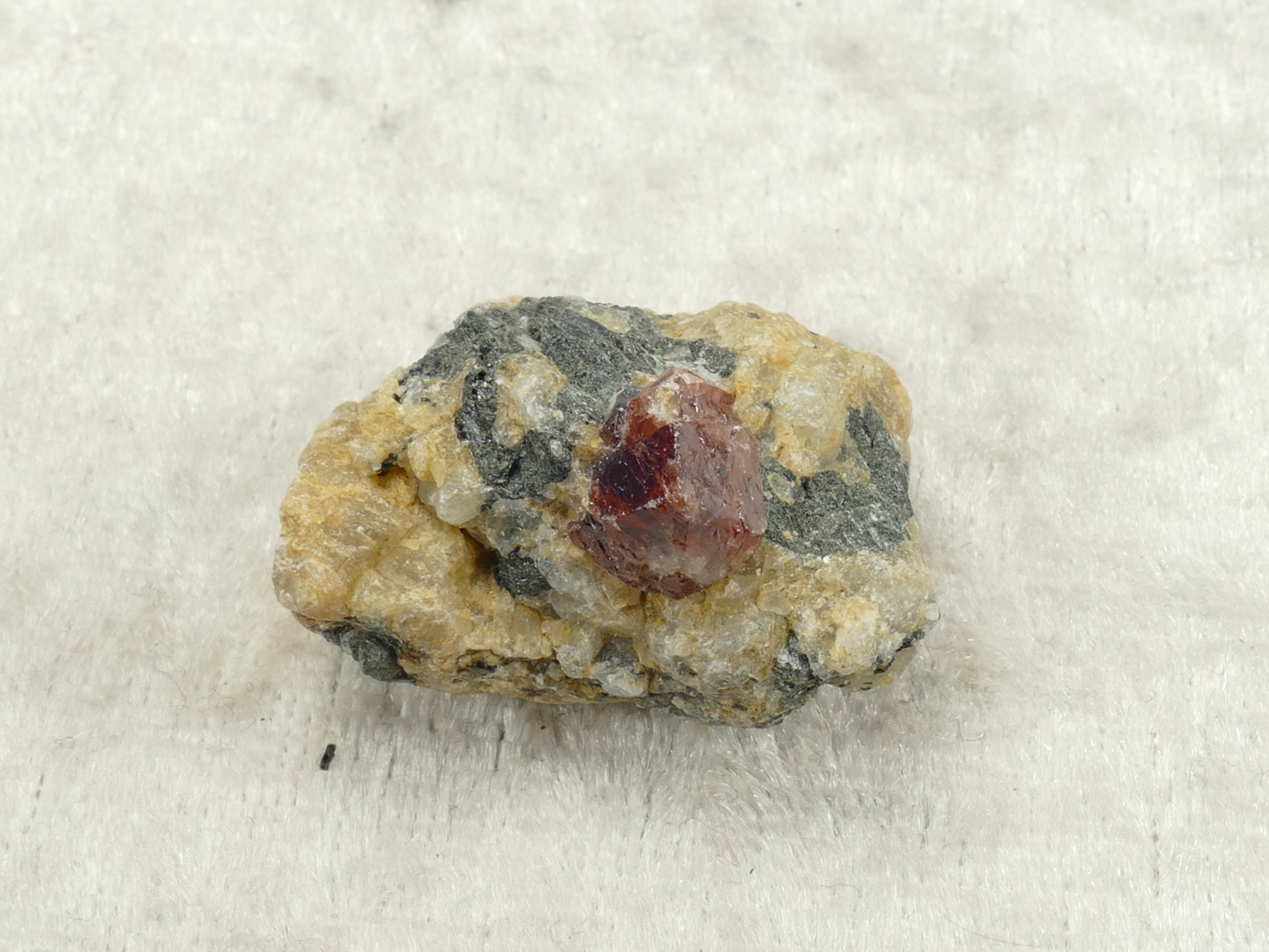 P1330499