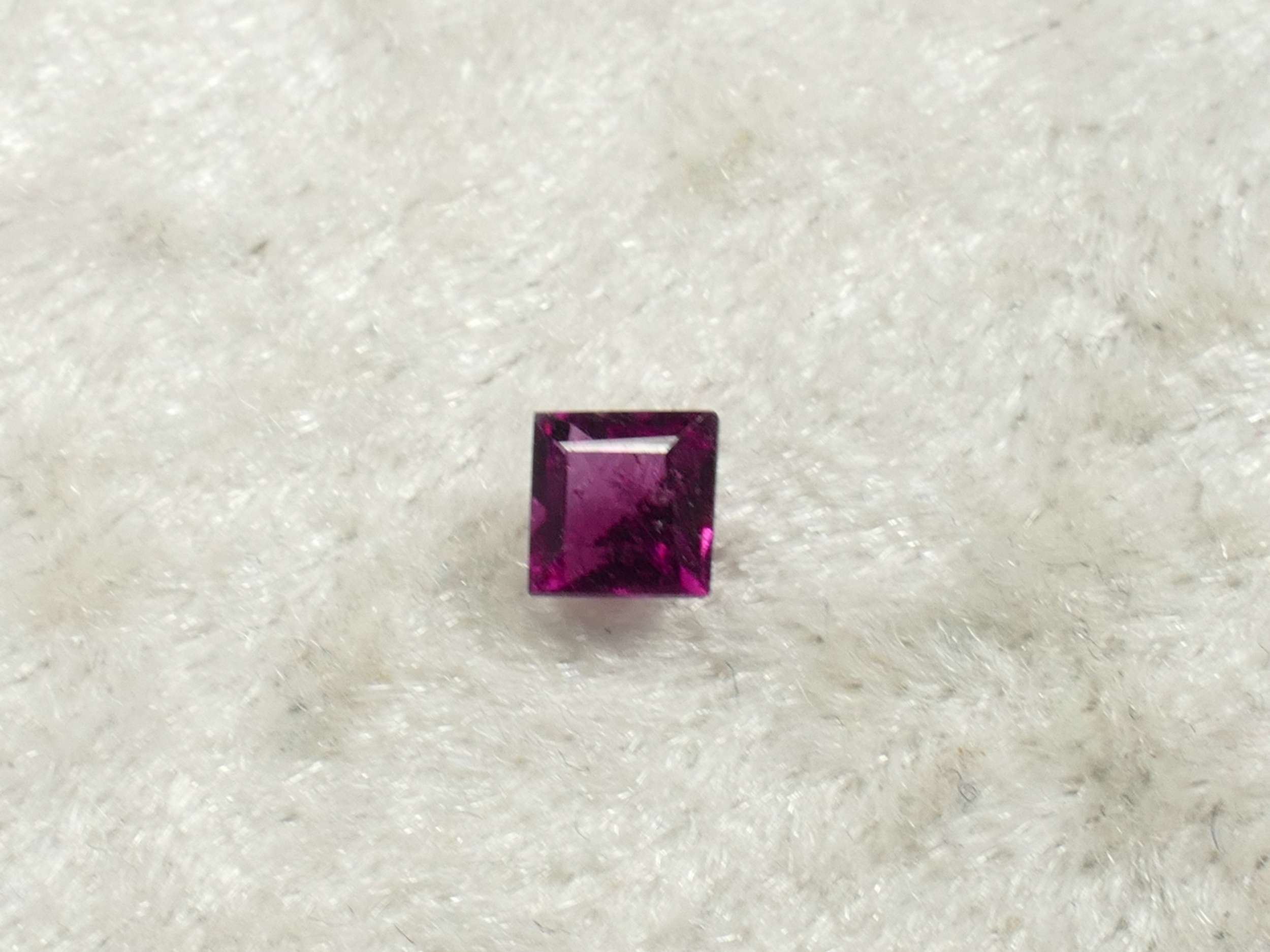 P1310155