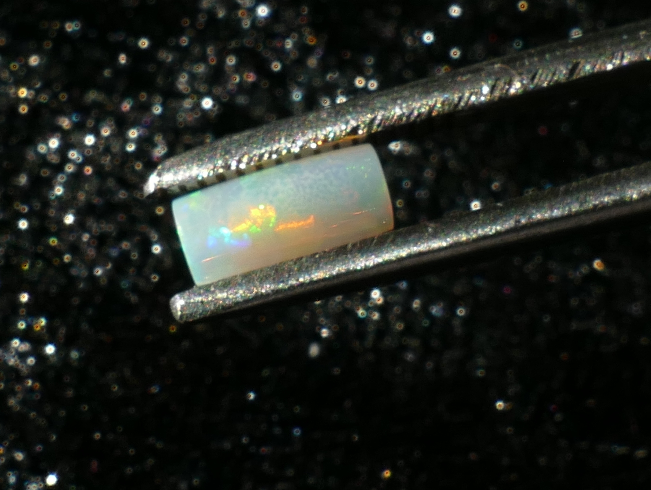 P1230254