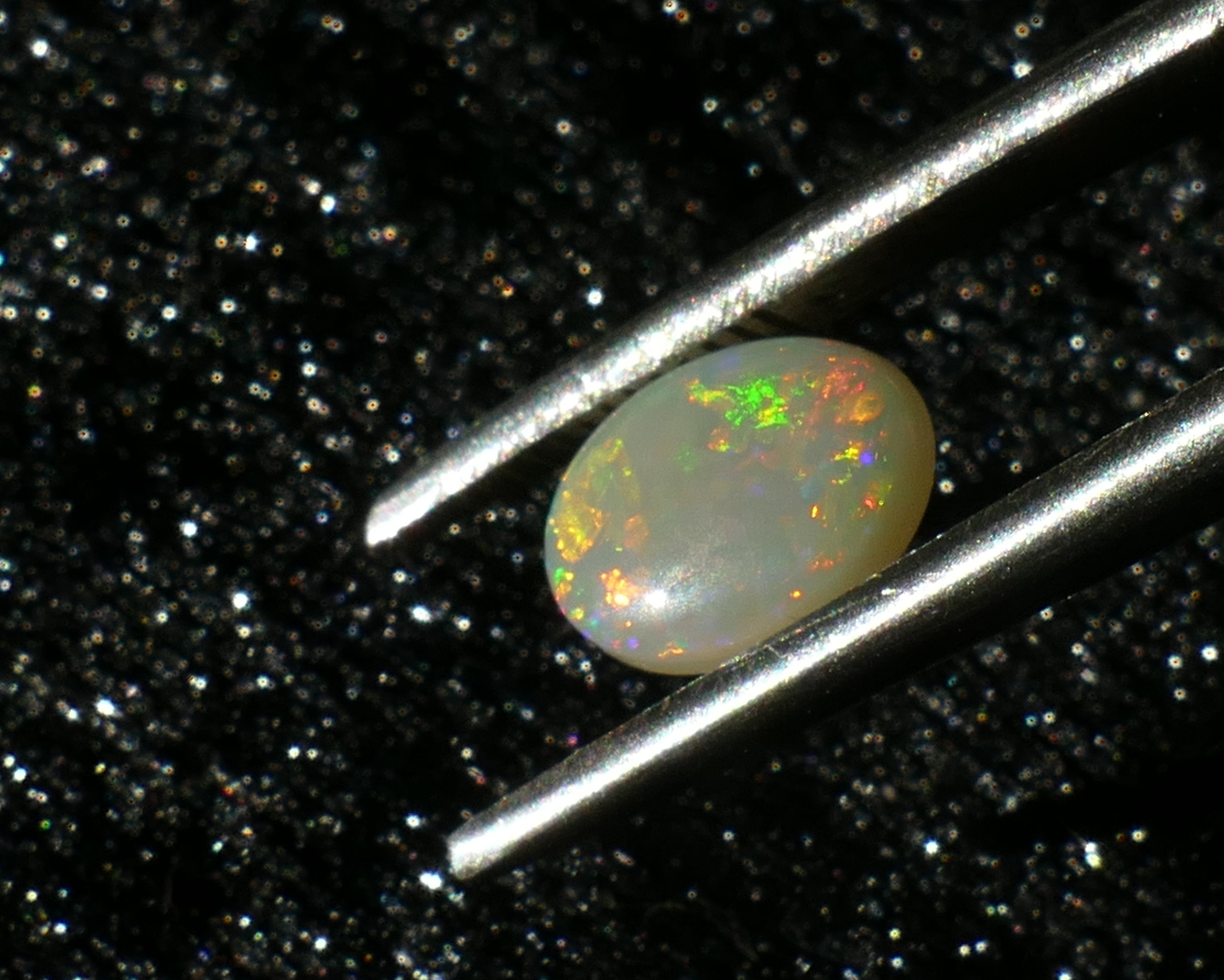 P1230170