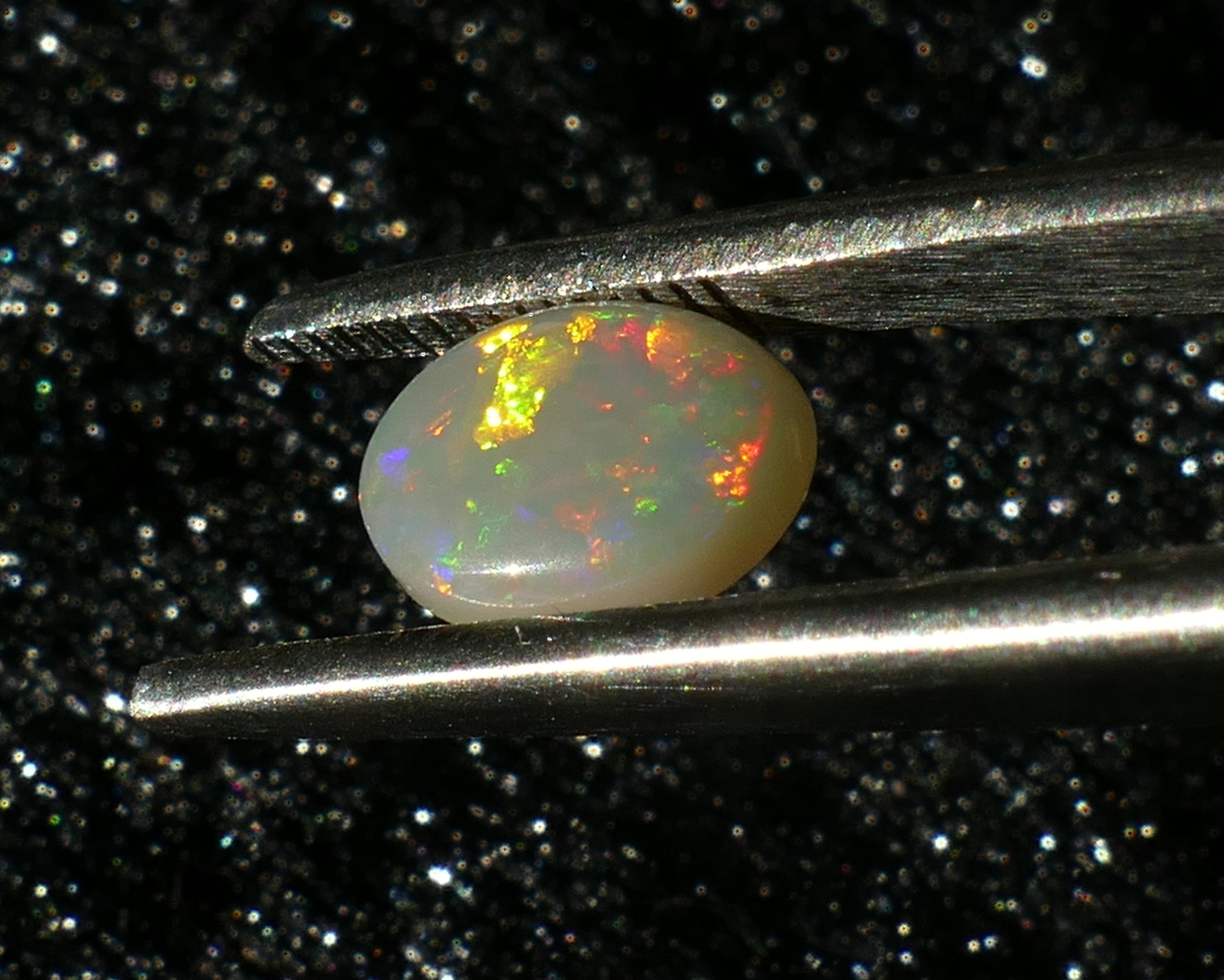 P1230172