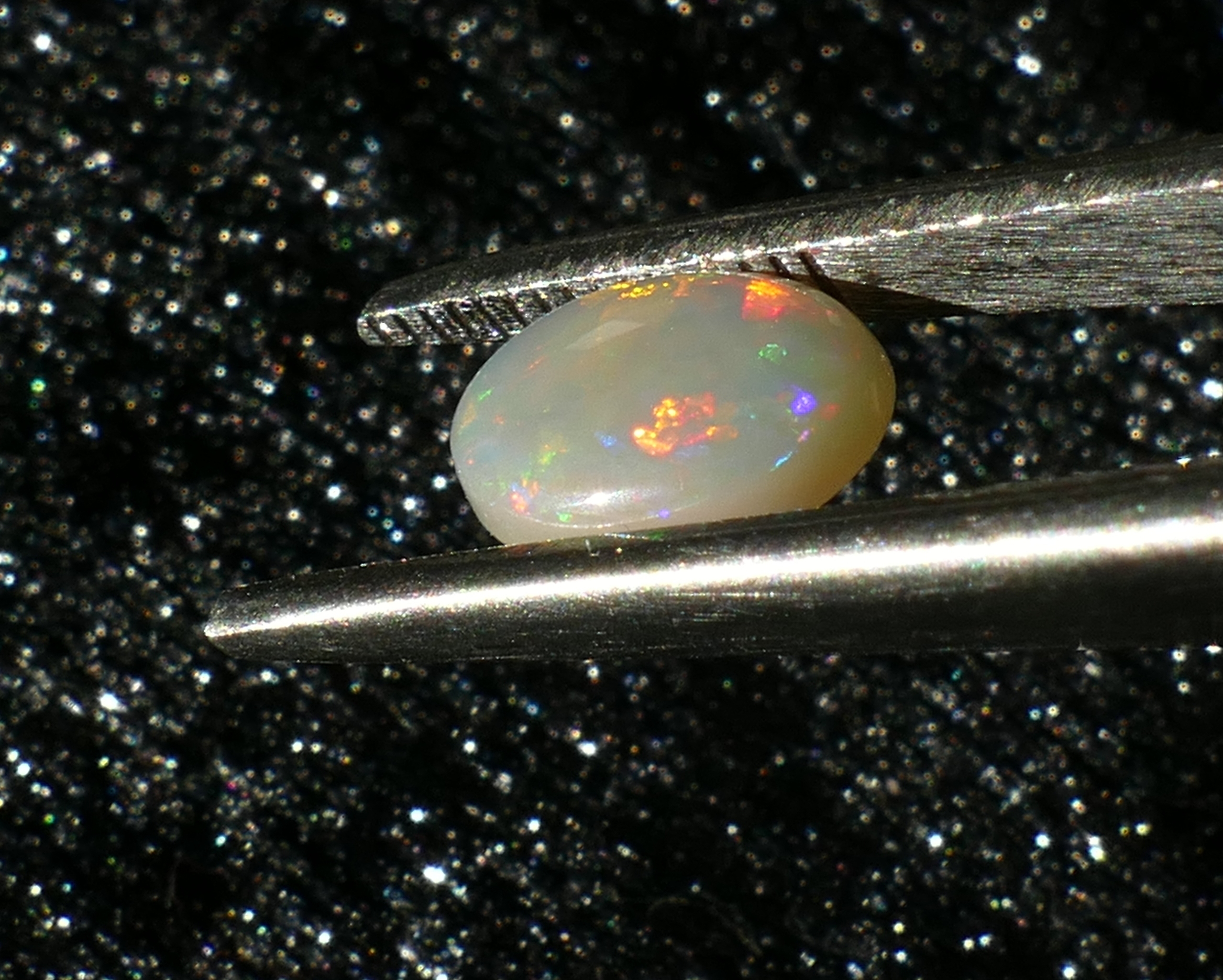 P1230173