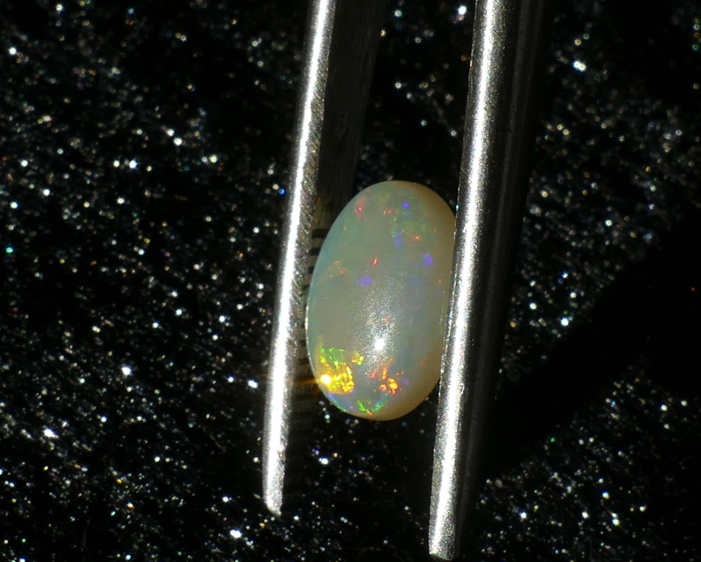 P1230175