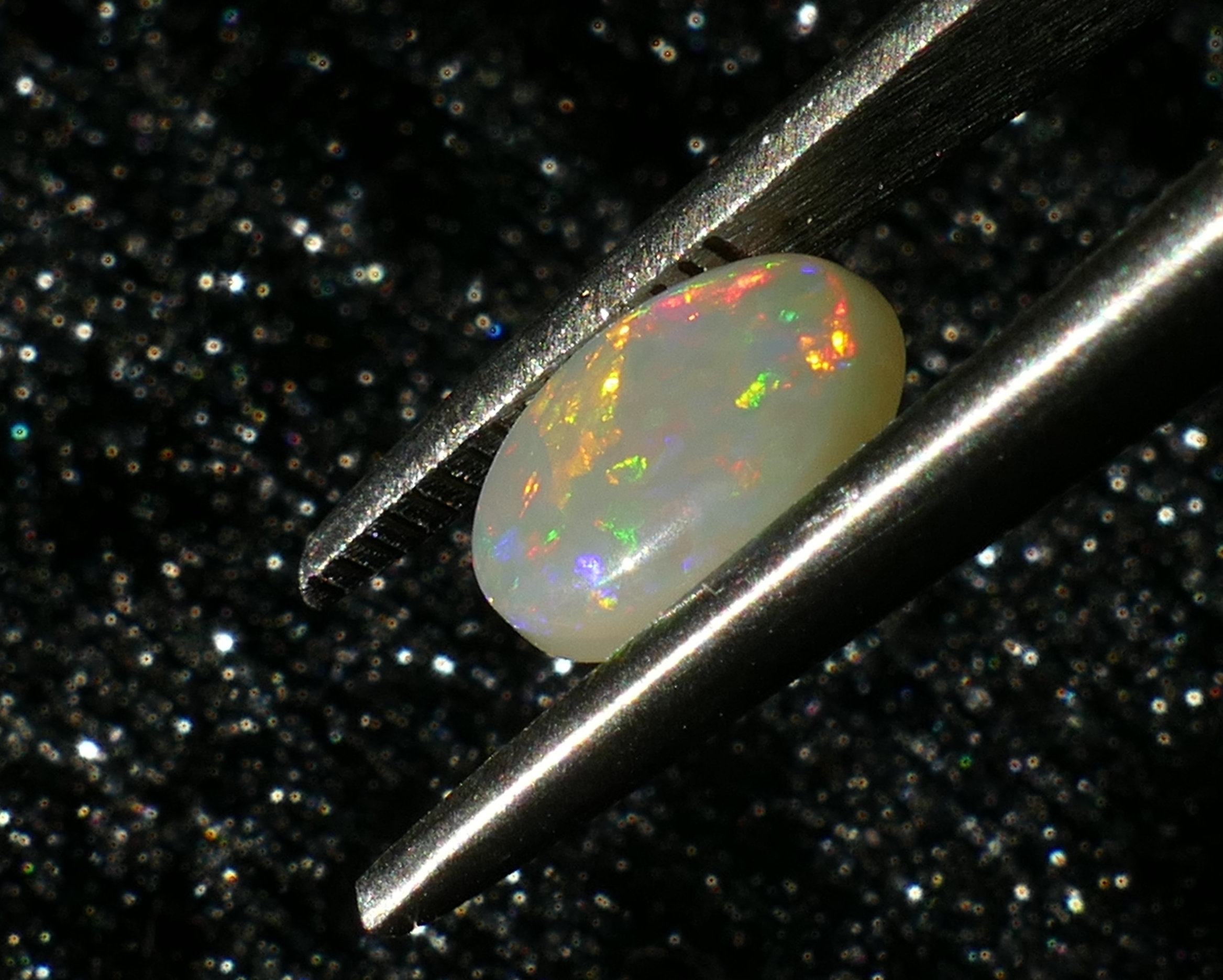P1230178