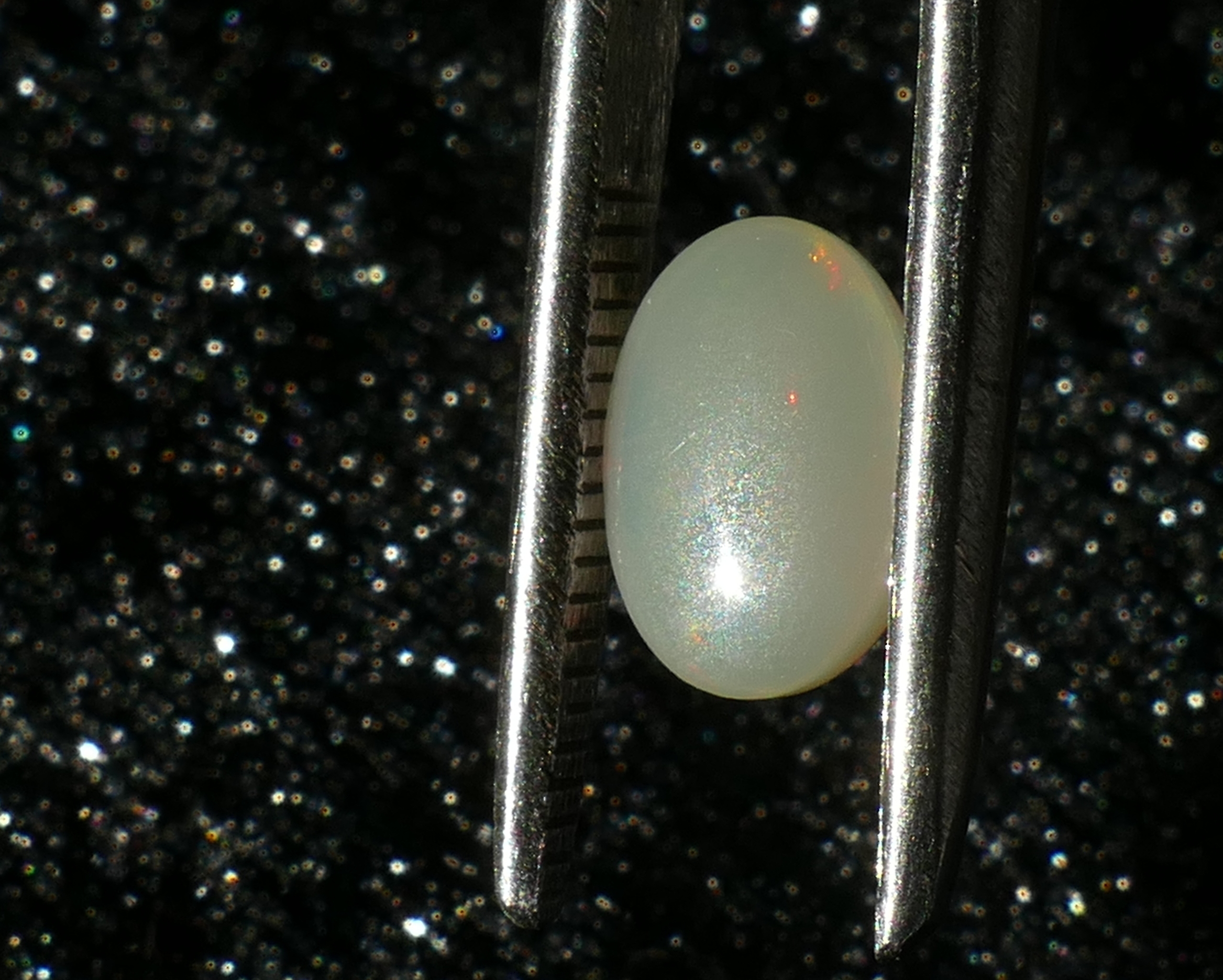 P1230176