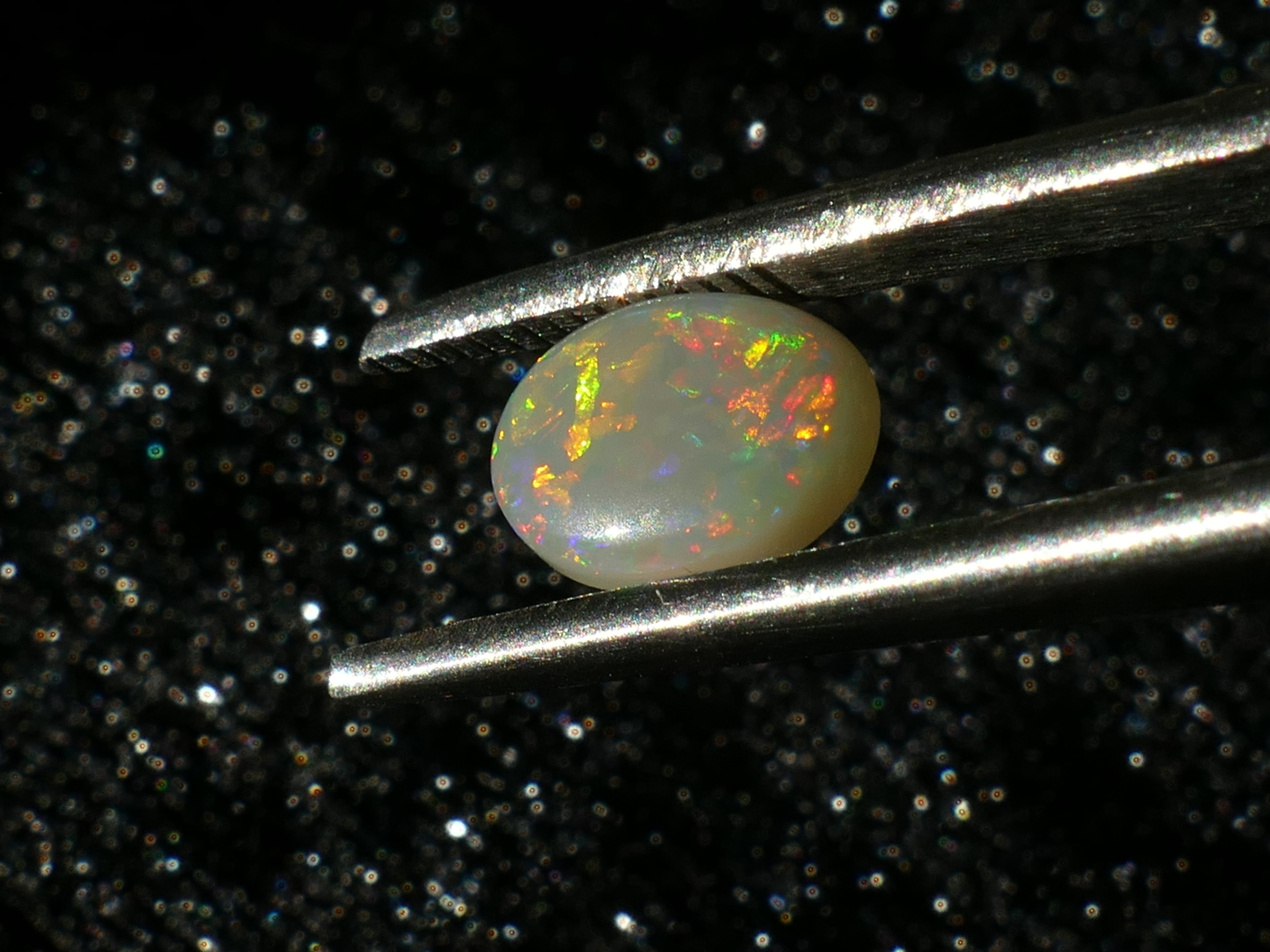 P1230179