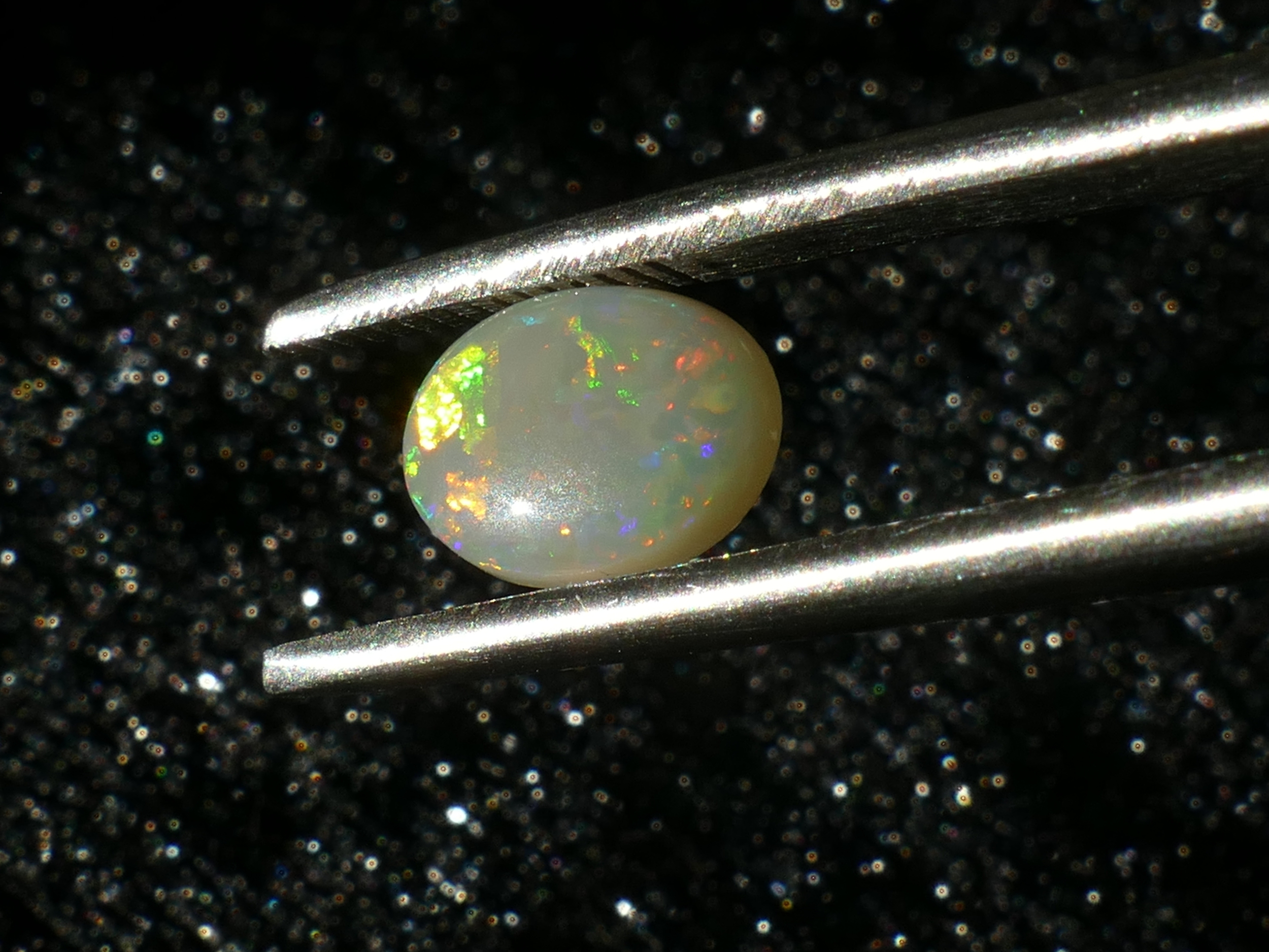 P1230181