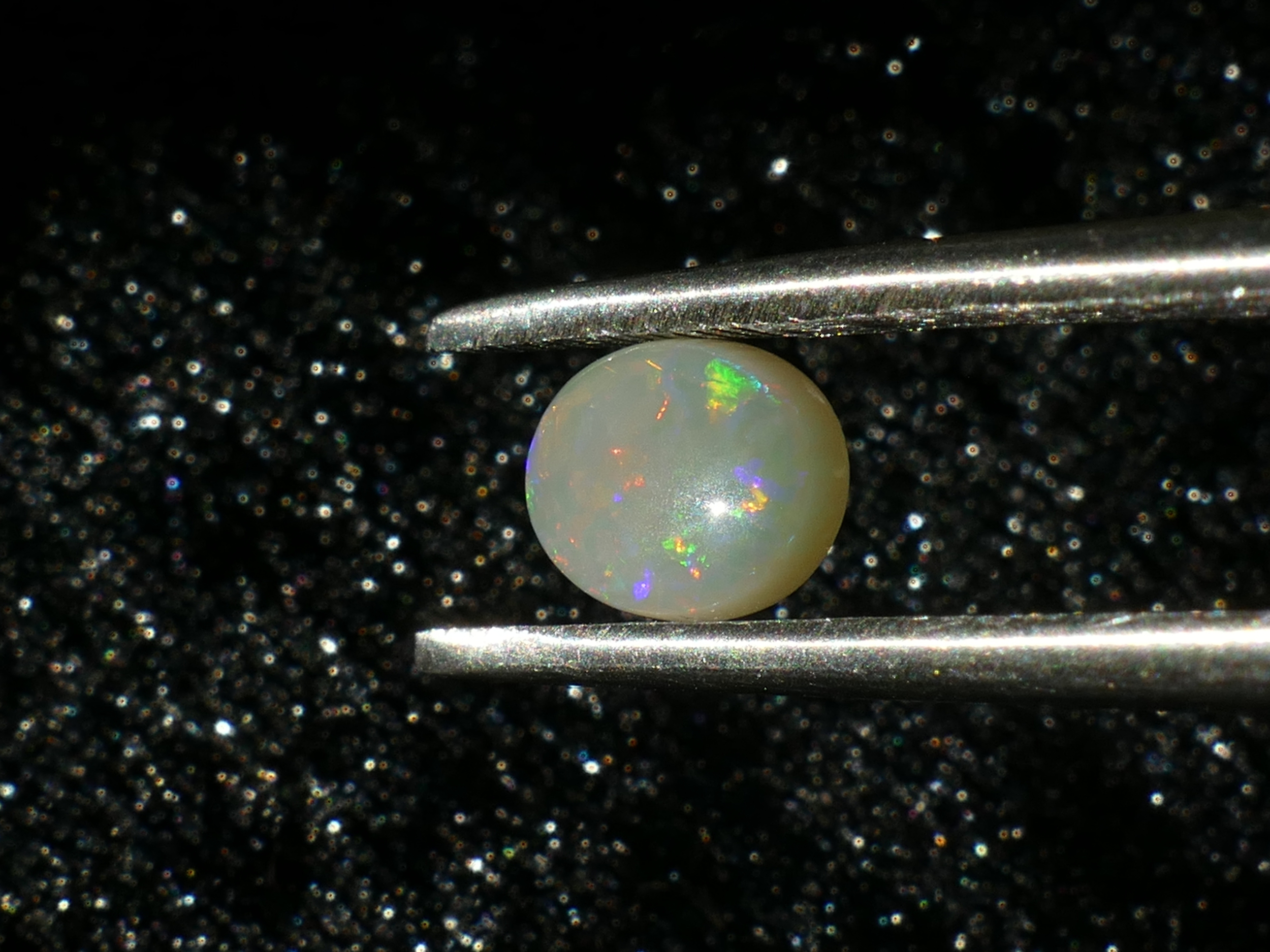 P1230182