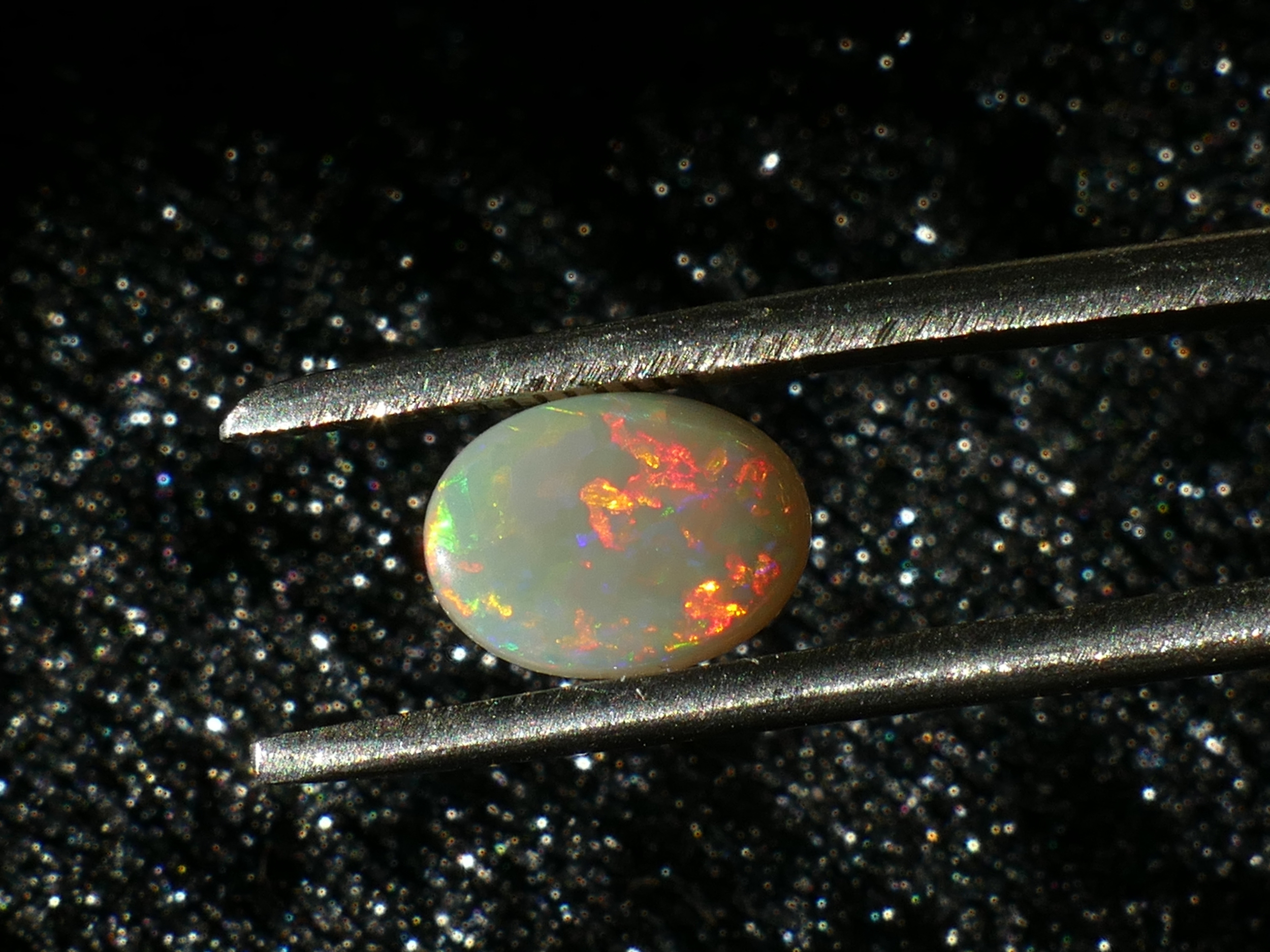 P1230185