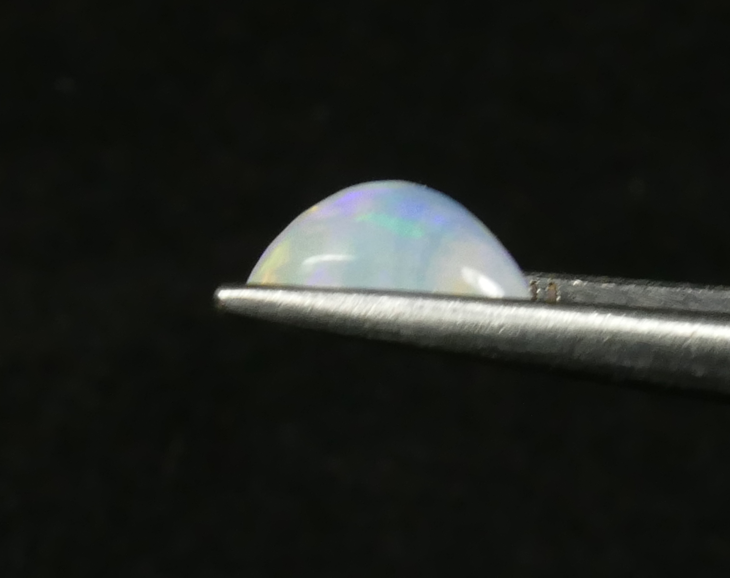 P1170304