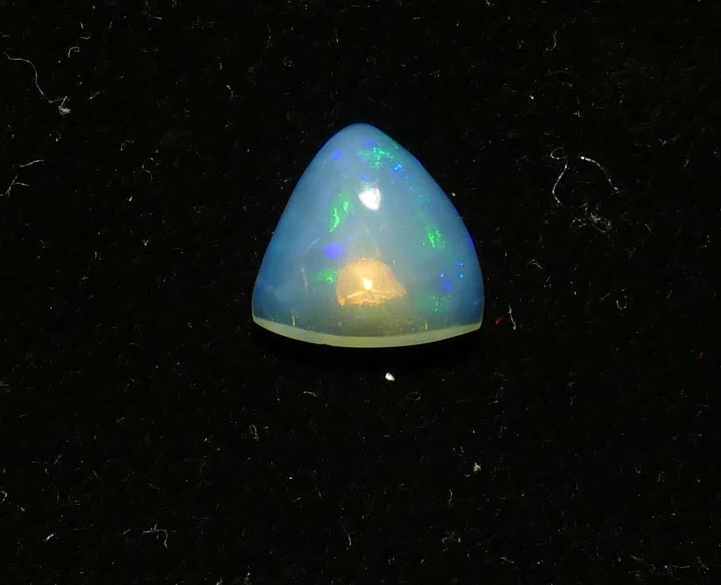 P1240797