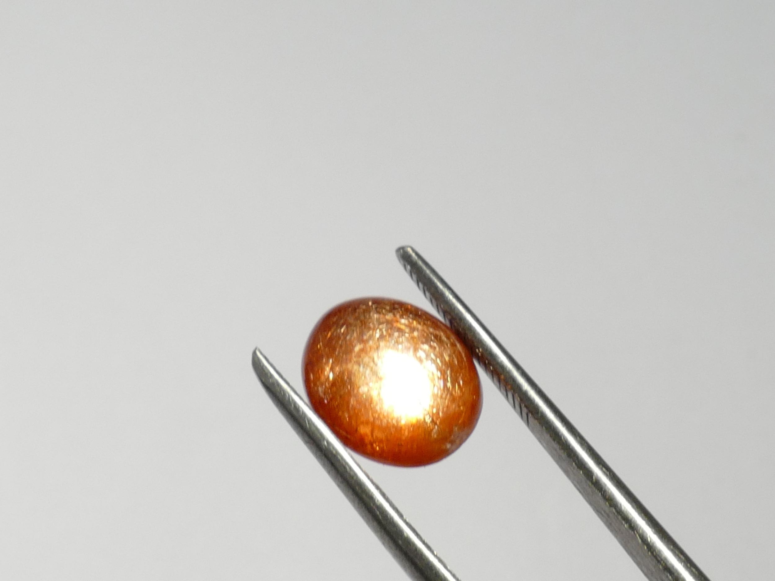P1350256