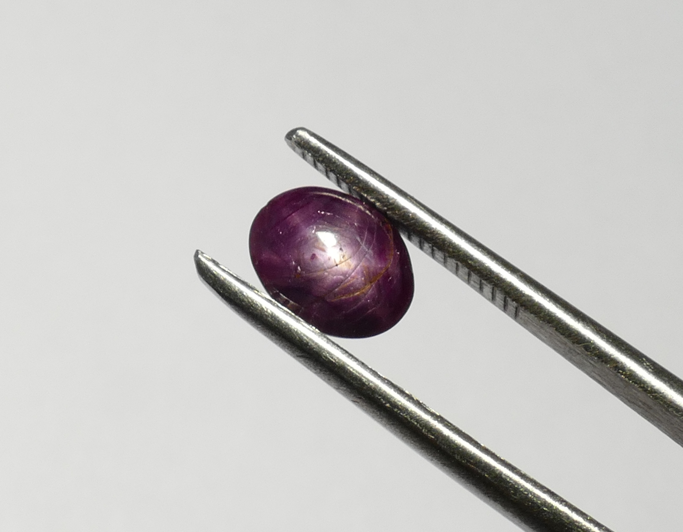 Lot De 8 Saphirs étoiles Naturels Non Traités Du Sri Lanka - Cabochon Ovale/rond - 91 Carats