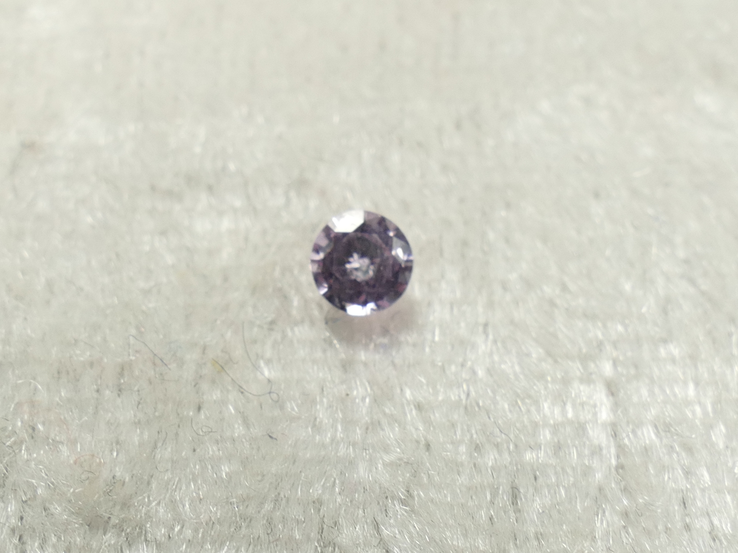 P1300242