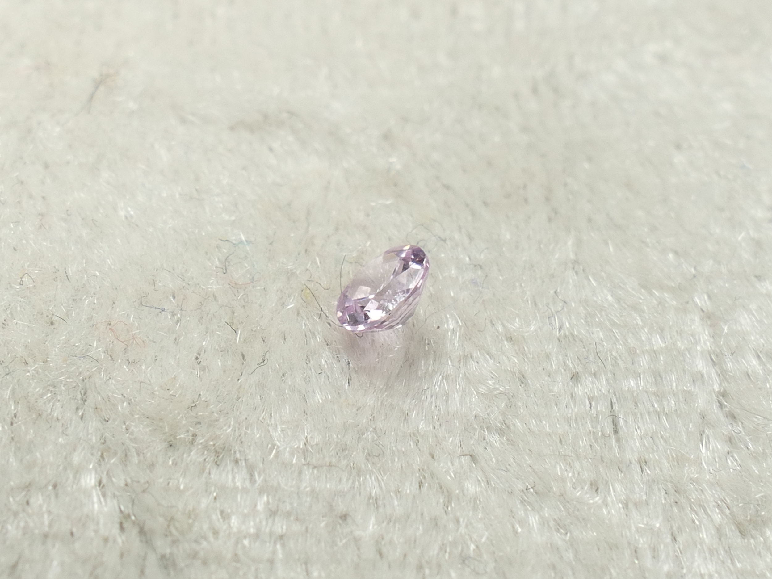 P1300244
