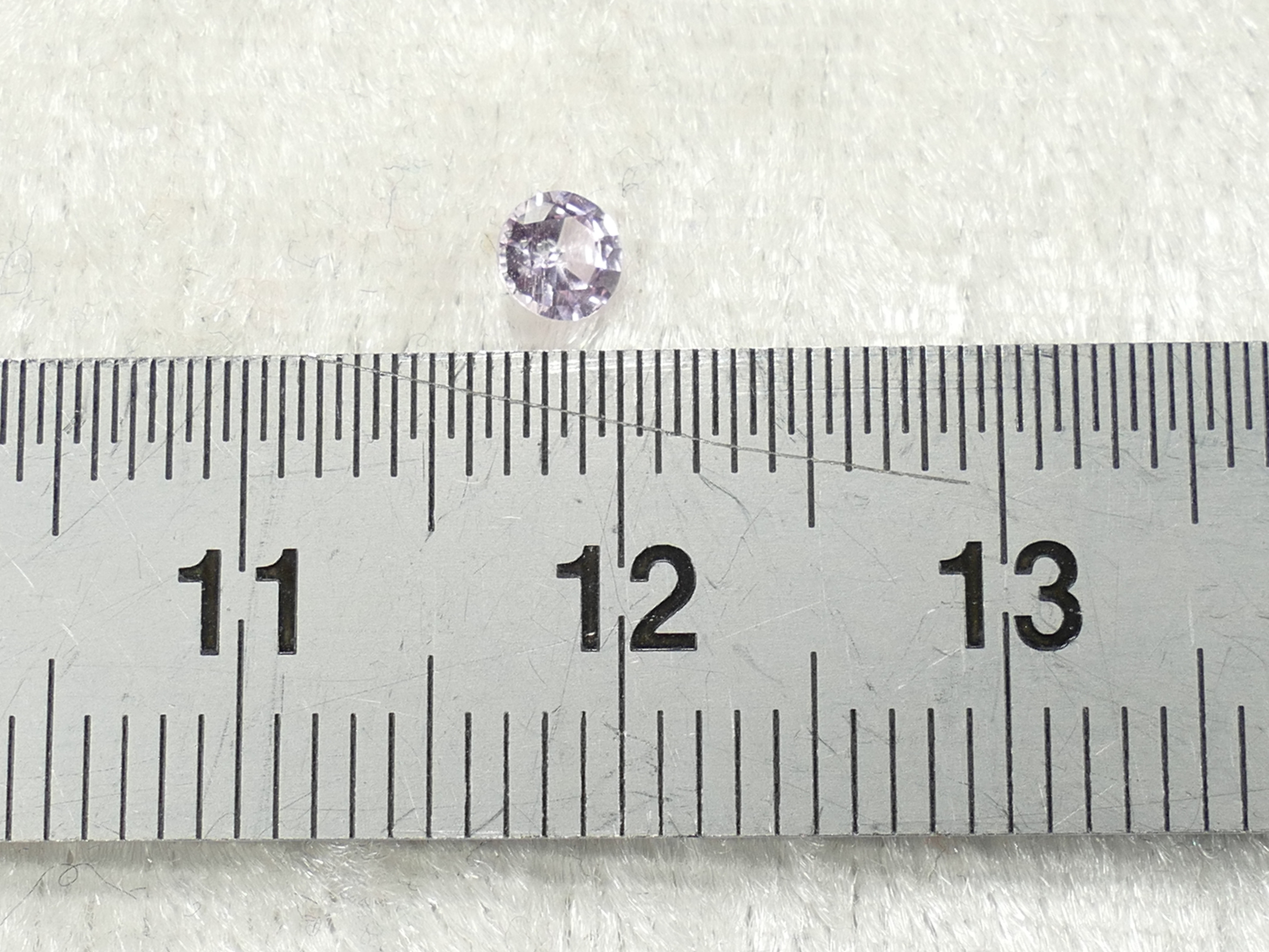 P1300246