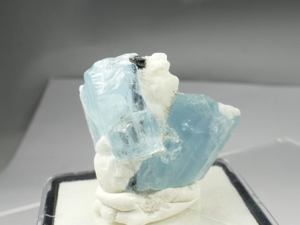 p1150317