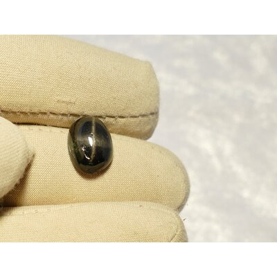diopside étoilé naturelle cabochon ovale