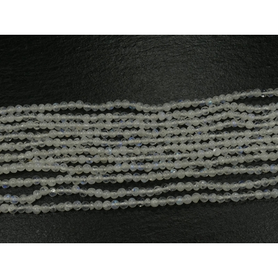 P1360846
