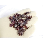 P1580460