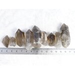 P1580894