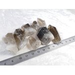 P1580907