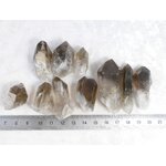 P1580909