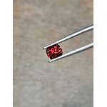 20240424_180145