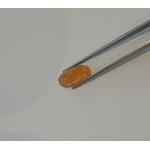 Natural imperial topaz 10.33ct in uneven rose cut Topaze impériale naturelle en rose cut