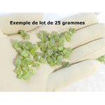 P1590784t