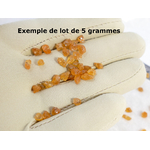 P1590789t