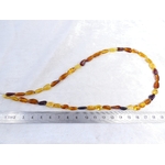 P1600058