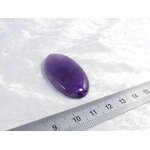 P1600141