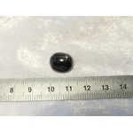 P1600198