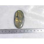 P1600339