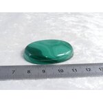 P1600607