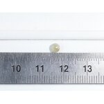 P1610661