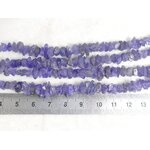 P1620884
