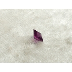 P1310153