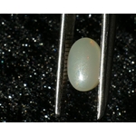 P1230176