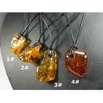 P12107236text