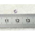 P1300246