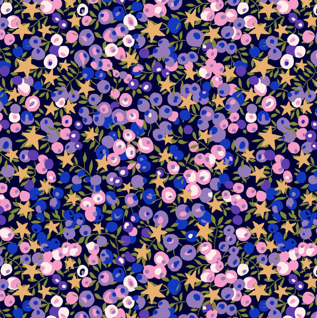 Liberty Tana Lawn™ Wiltshire Stars coloris B 20 x 137 cm