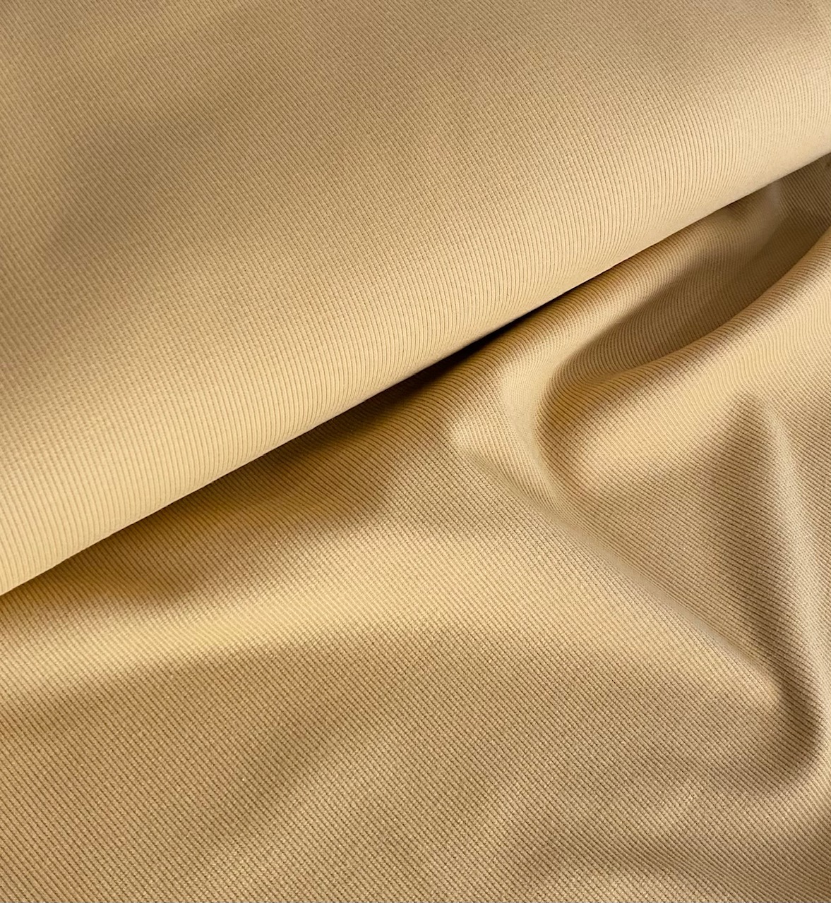 Bord côte / jersey côtelé organique coloris Gold 20 x 110 cm